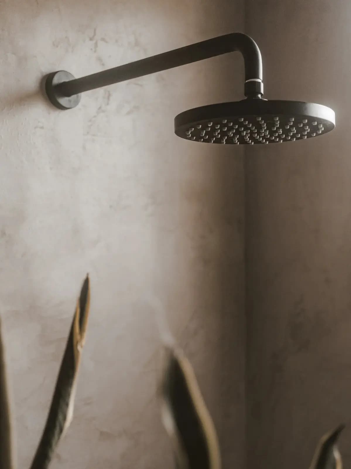 Black rainfall shower head on a soft rendered wall